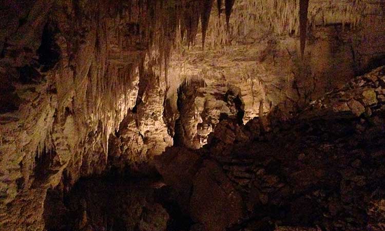 Inside the Waitomo Caves of North Island New Zealand