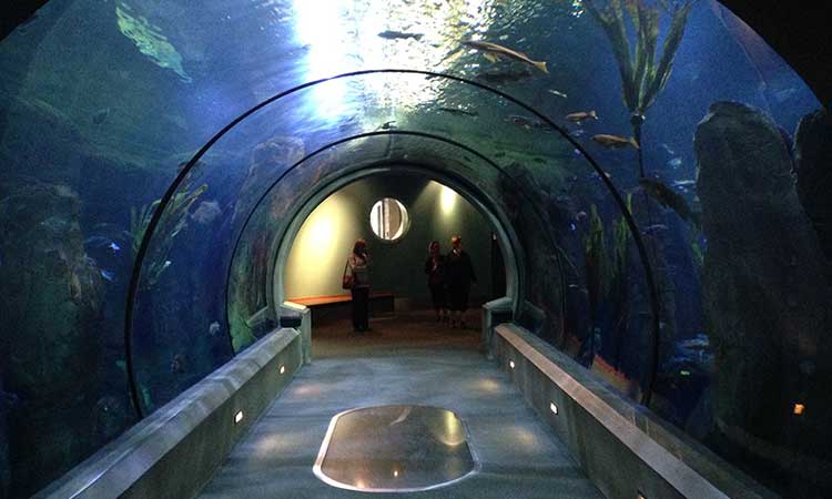 Oregon National Aquarium